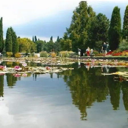 Sui Tetti Di Valeggio -